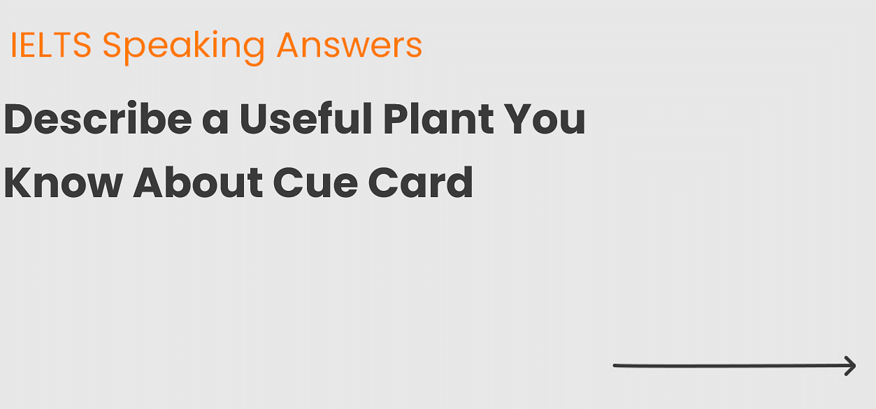 Describe a Useful Plant You Know About Cue Card